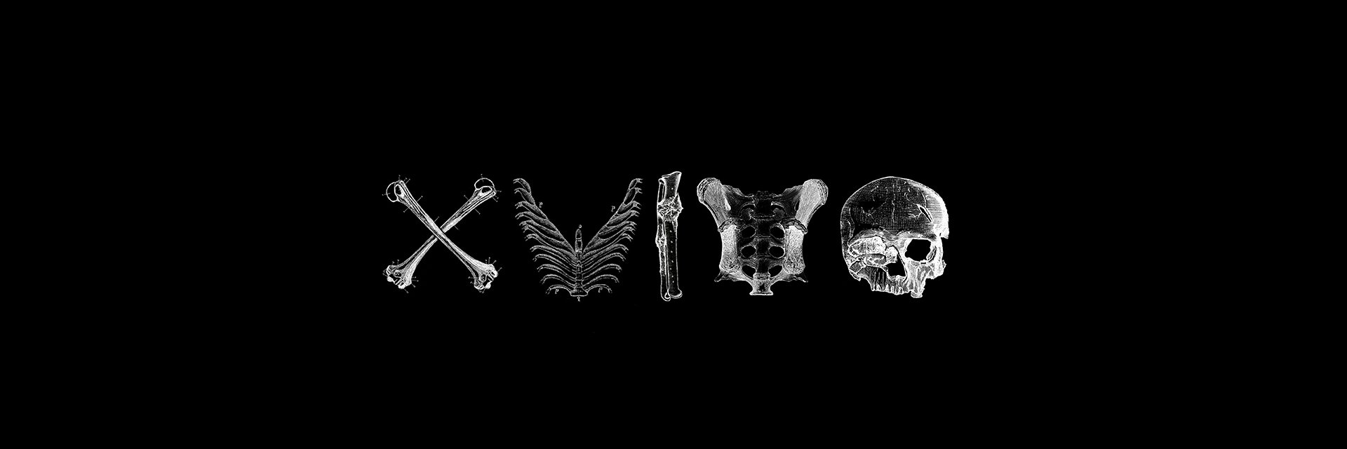 twtmedic banner
