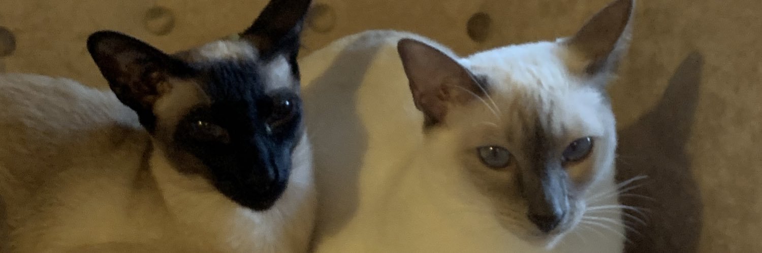 Go Forth In Love banner