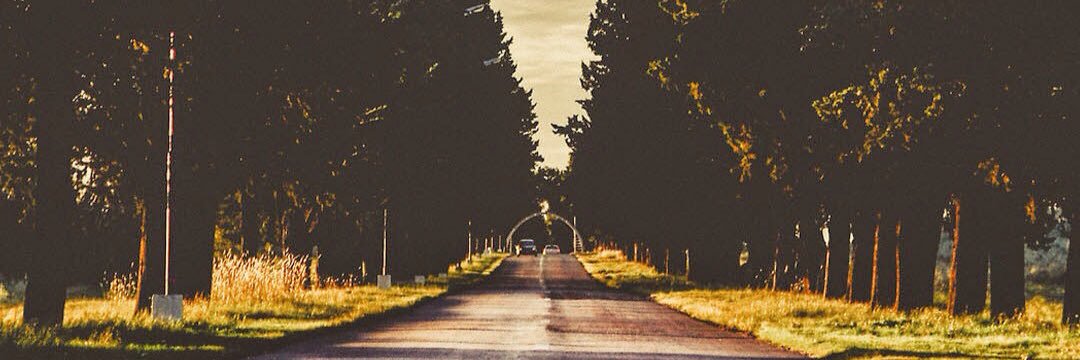 toomuchsweets's profile banner image
