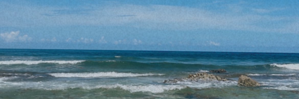 tanyajime's profile banner image
