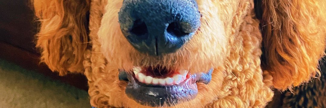 capturevb's profile banner image