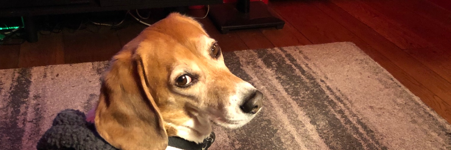 kolbjoey's profile banner image
