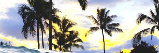 _Wisley_'s profile banner image