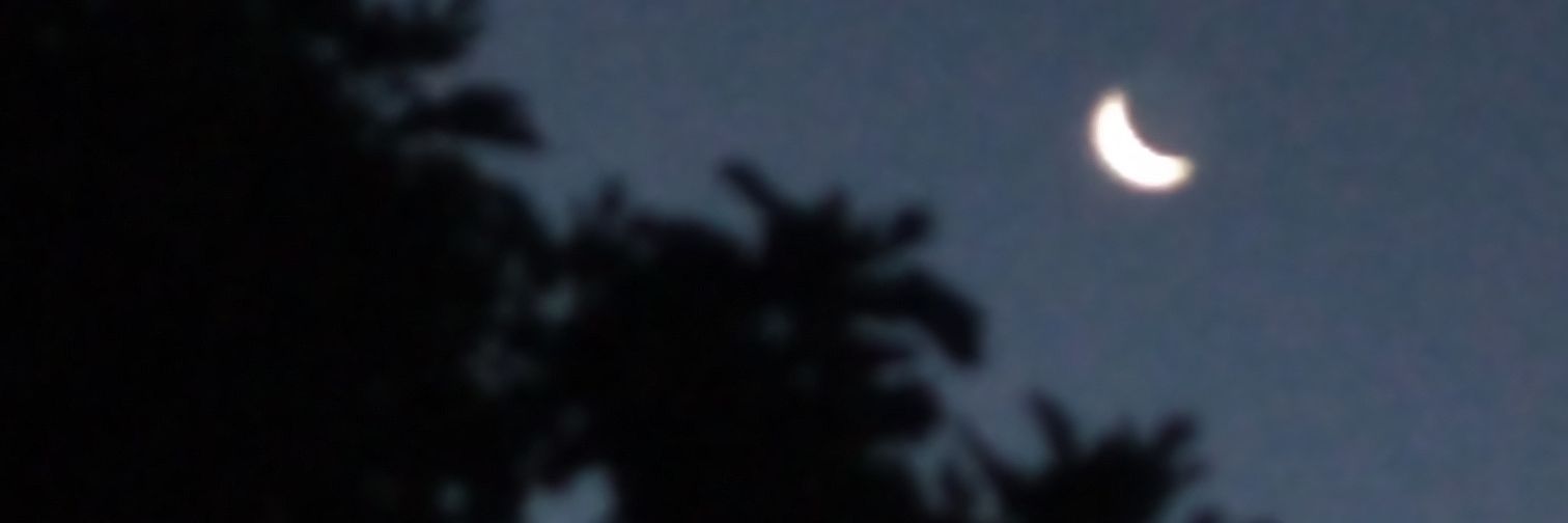 saplcry's profile banner image