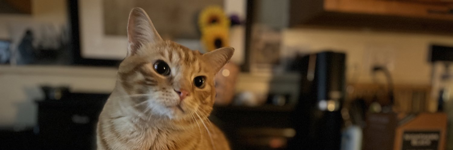 zzbirDee's profile banner image