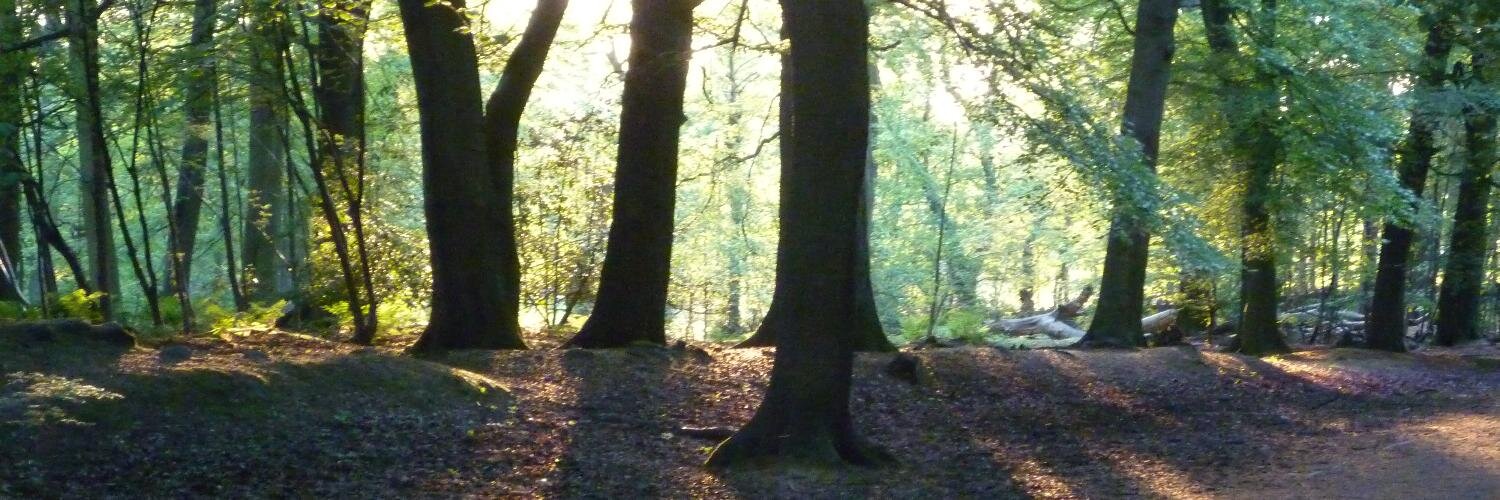 jowoolley2's profile banner image