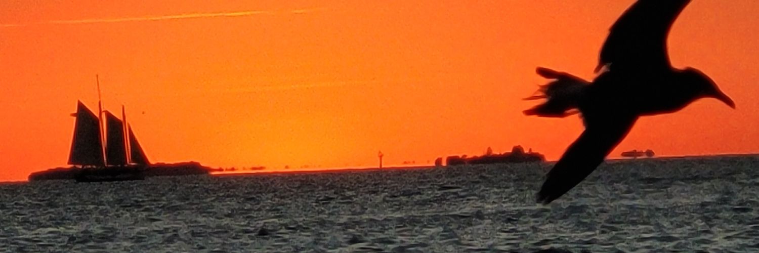 karitzdorf's profile banner image