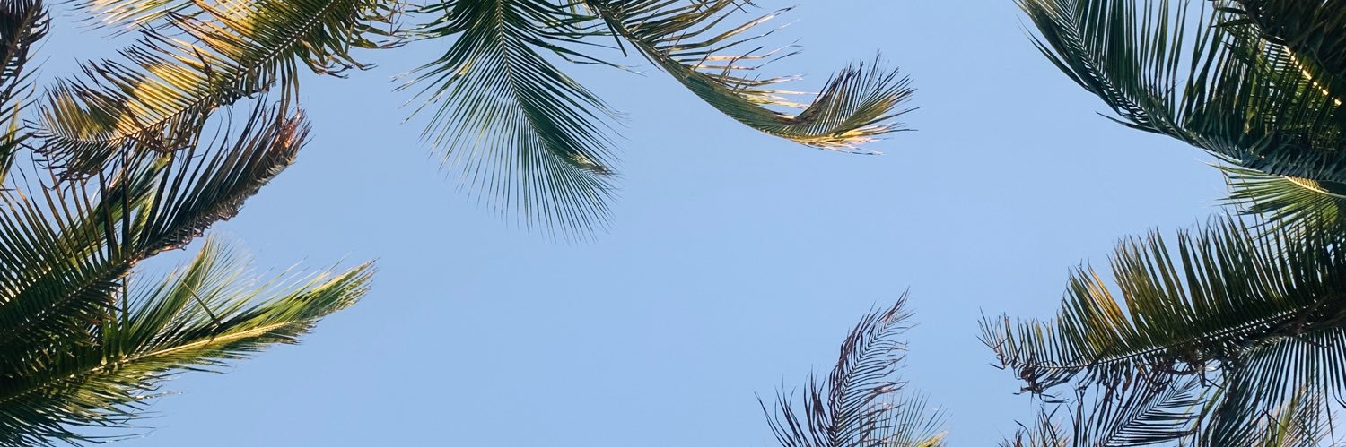 ReeseSterns's profile banner image