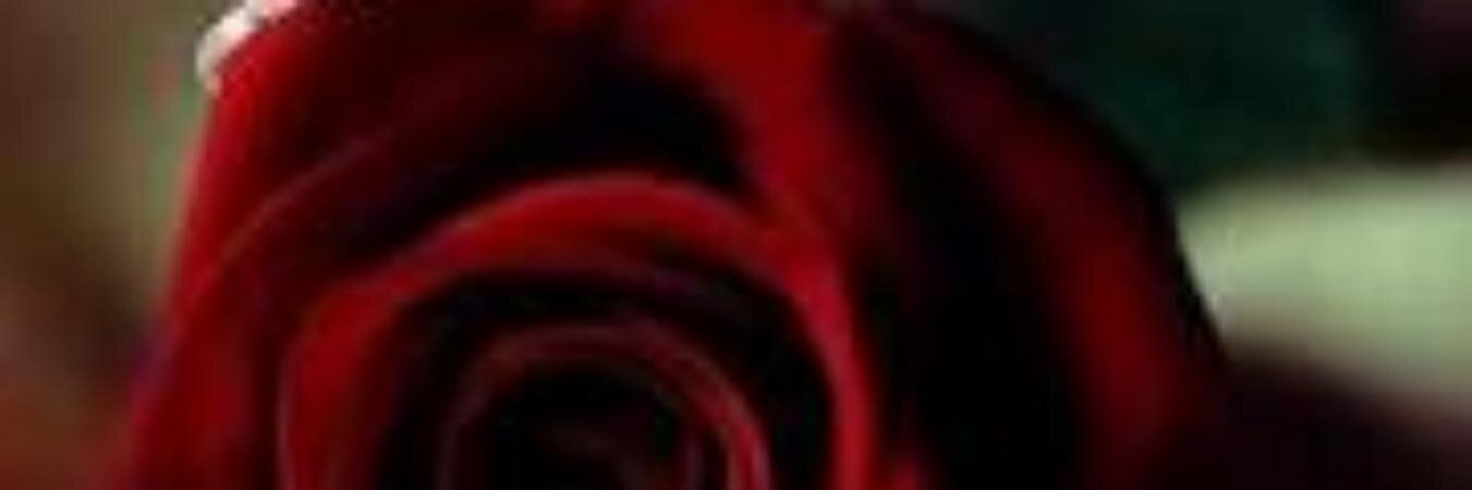 sroour's profile banner image