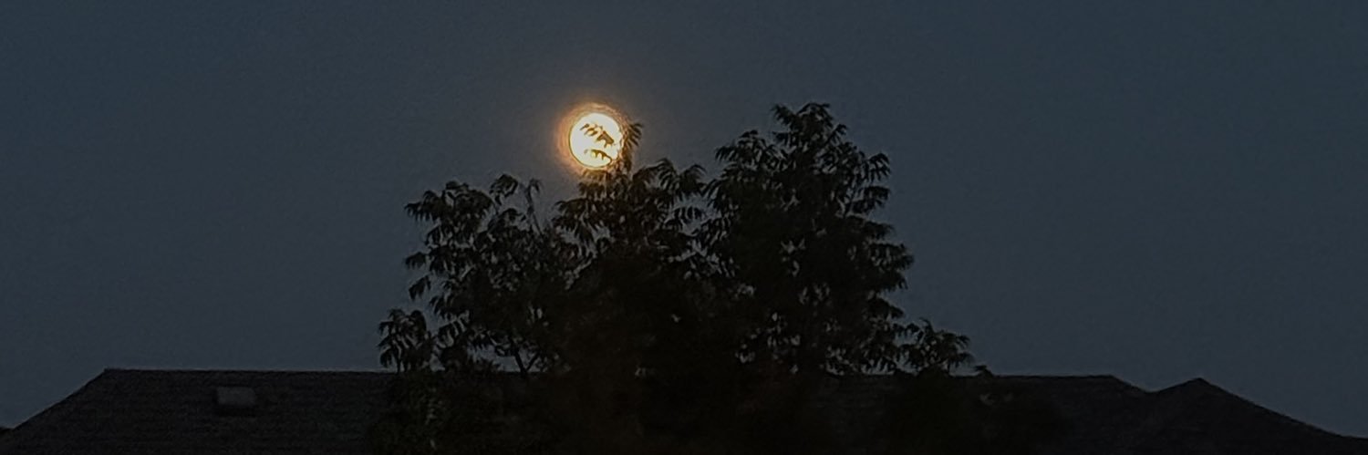 kashiasmith's profile banner image