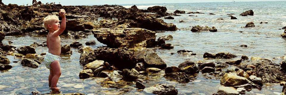 jacq_sprat's profile banner image