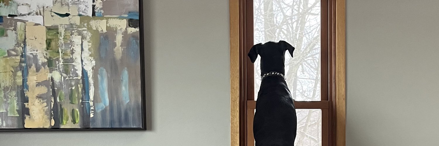 chesneywargo's profile banner image