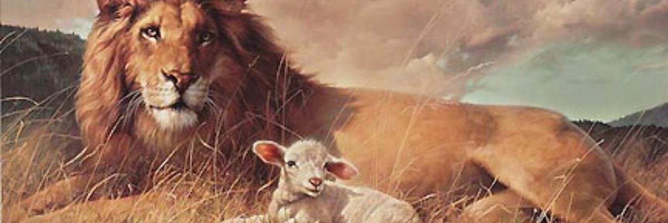 grigsby_david's profile banner image
