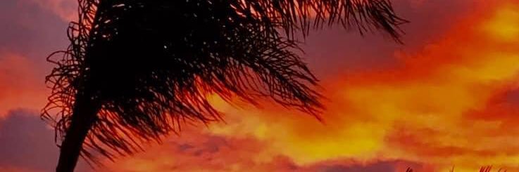 MeeMichele's profile banner image