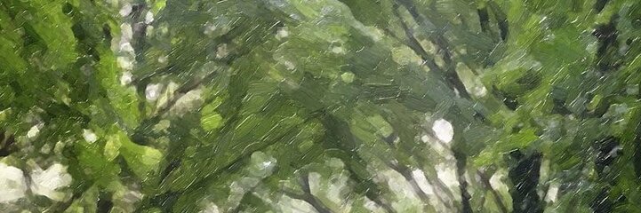 crauch's profile banner image