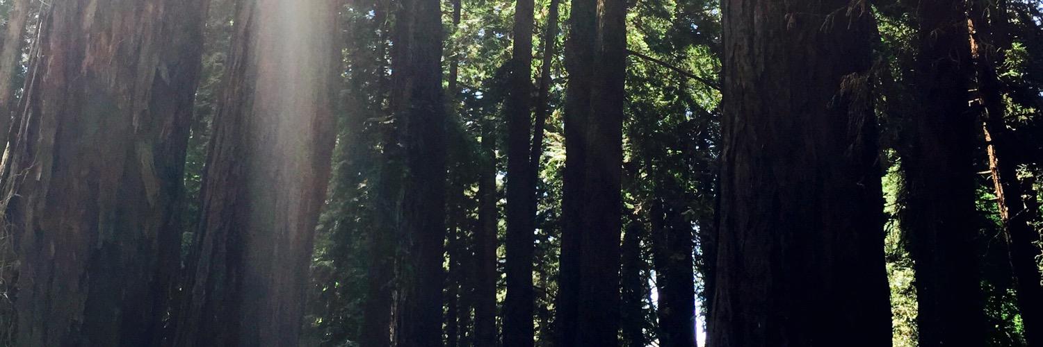 taviewest's profile banner image