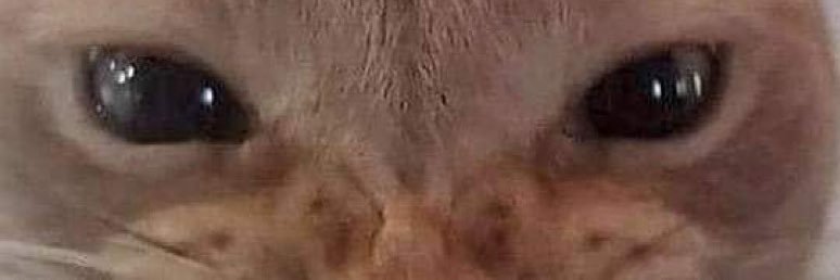 big boons banner