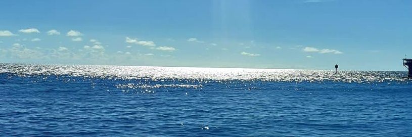 Daniela Castaño banner