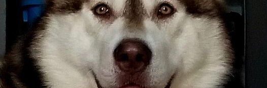 Keely Jordan 🌊🌊🌊 banner