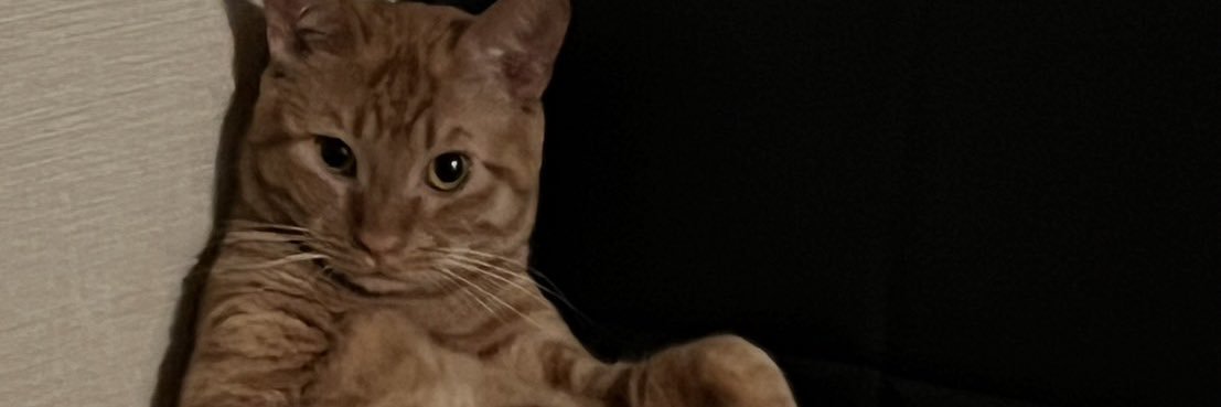 Nukotyas's profile banner image