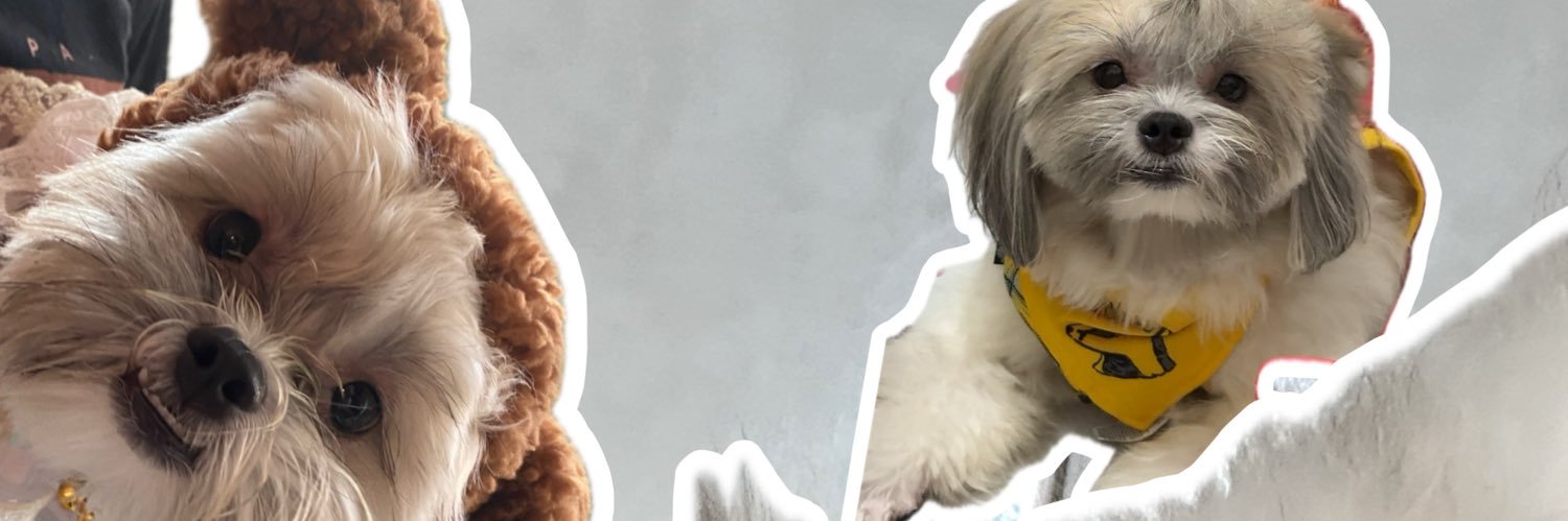 RICyella's profile banner image
