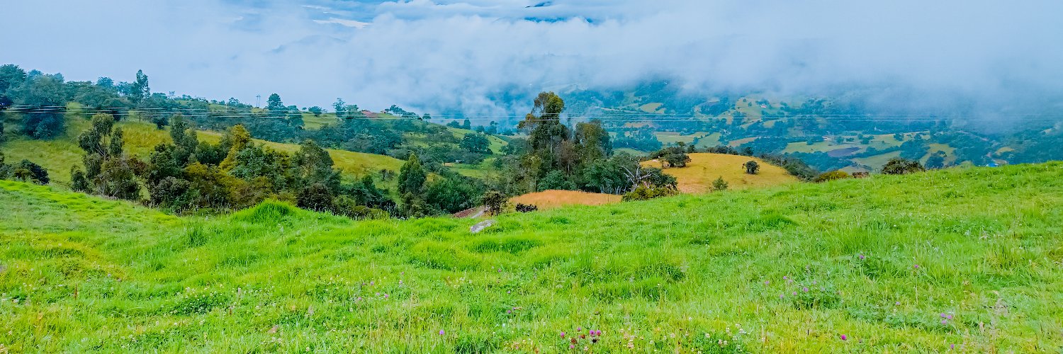 c_martinez__13's profile banner image