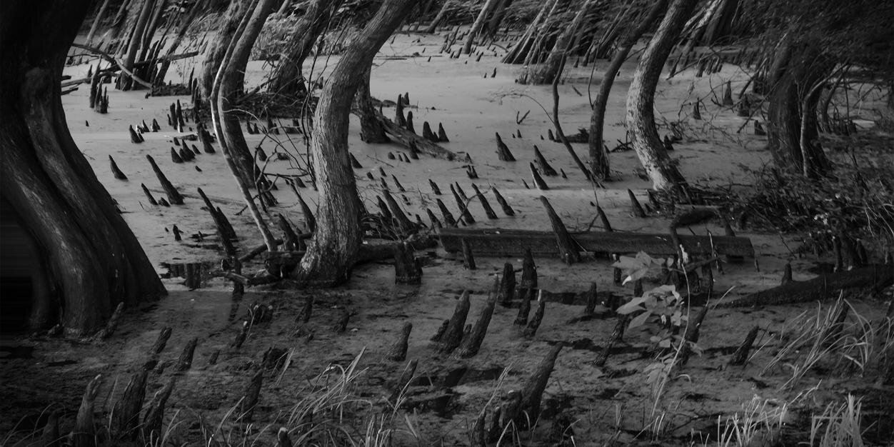 garyducket's profile banner image