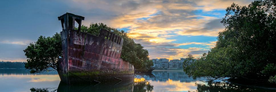 𝘔𝘢𝘵𝘵𝘩𝘦𝘸 𝘐 banner