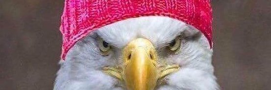 Keep Resisting! banner