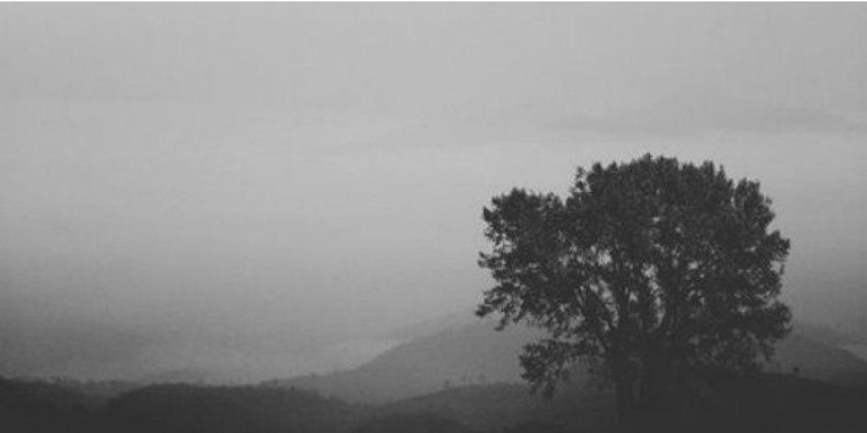 JackLovesPandas's profile banner image