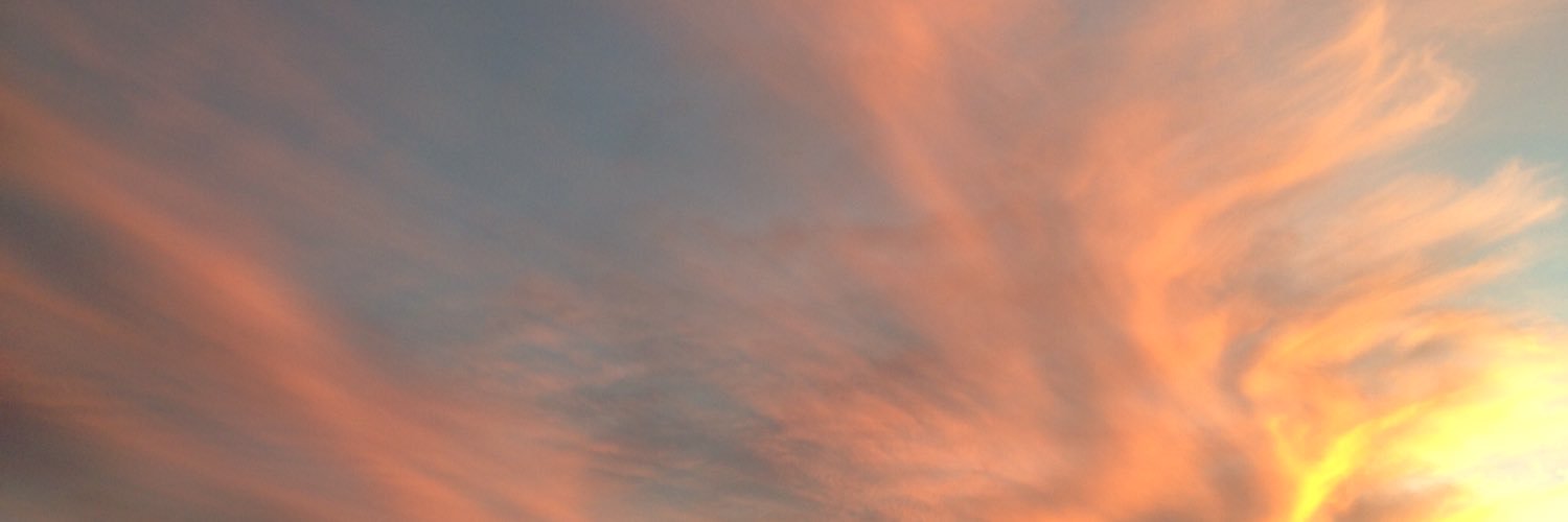 Lara_Penney's profile banner image
