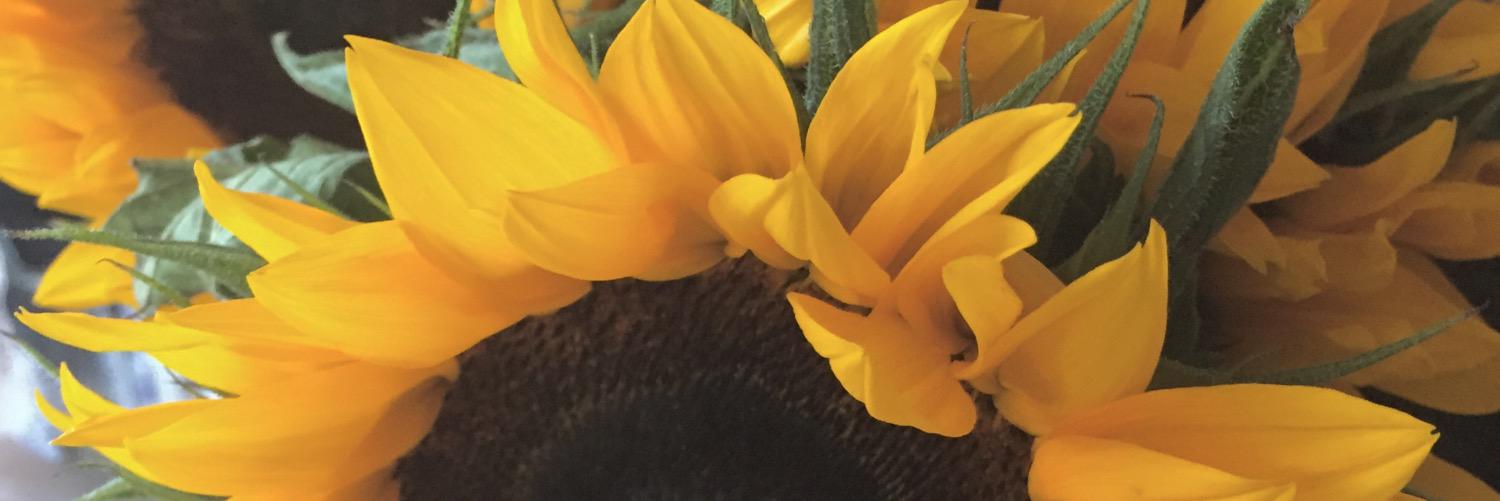 SculpturedMess's profile banner image