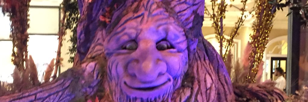 MynorESanchez's profile banner image