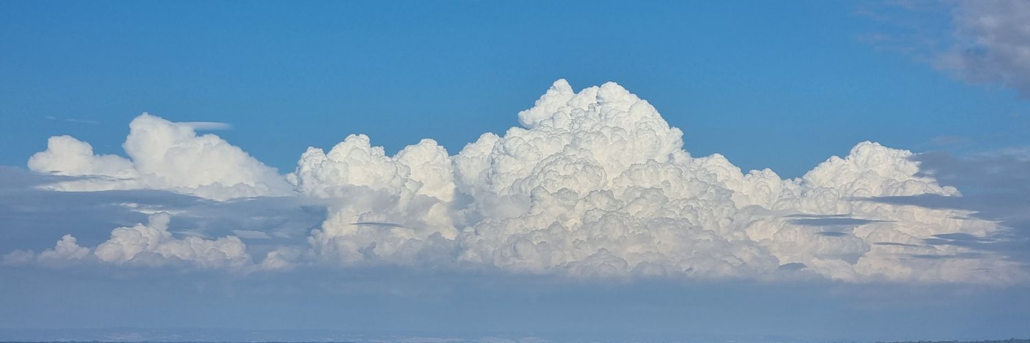 Yolande Cailly banner