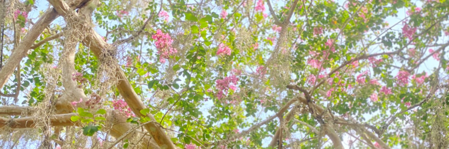 maryCSjordan's profile banner image