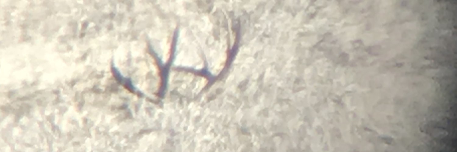 hunterdianne39's profile banner image