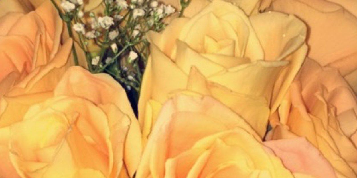 NKSebastian's profile banner image