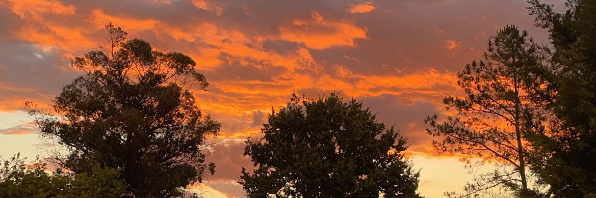 ➳ 🅙🅔🅢🅘 💚 banner