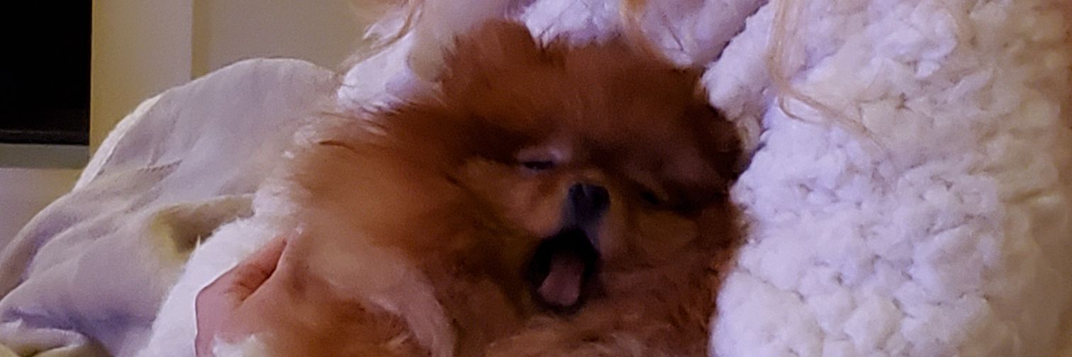 SupernovaRBI✌️ banner