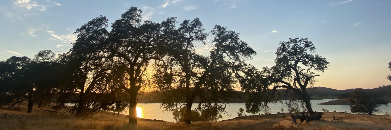 mmmorganee's profile banner image