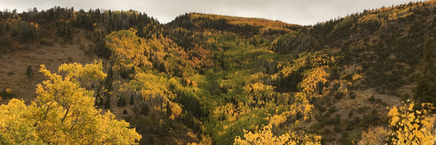 tflinds's profile banner image