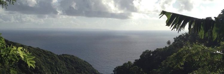 thaliaavalentin's profile banner image