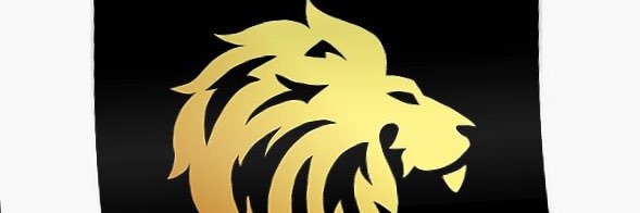 Meddrin's profile banner image