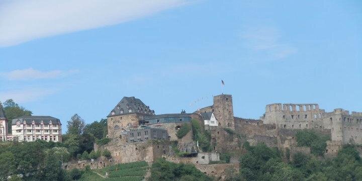 Natalie DiNenno banner