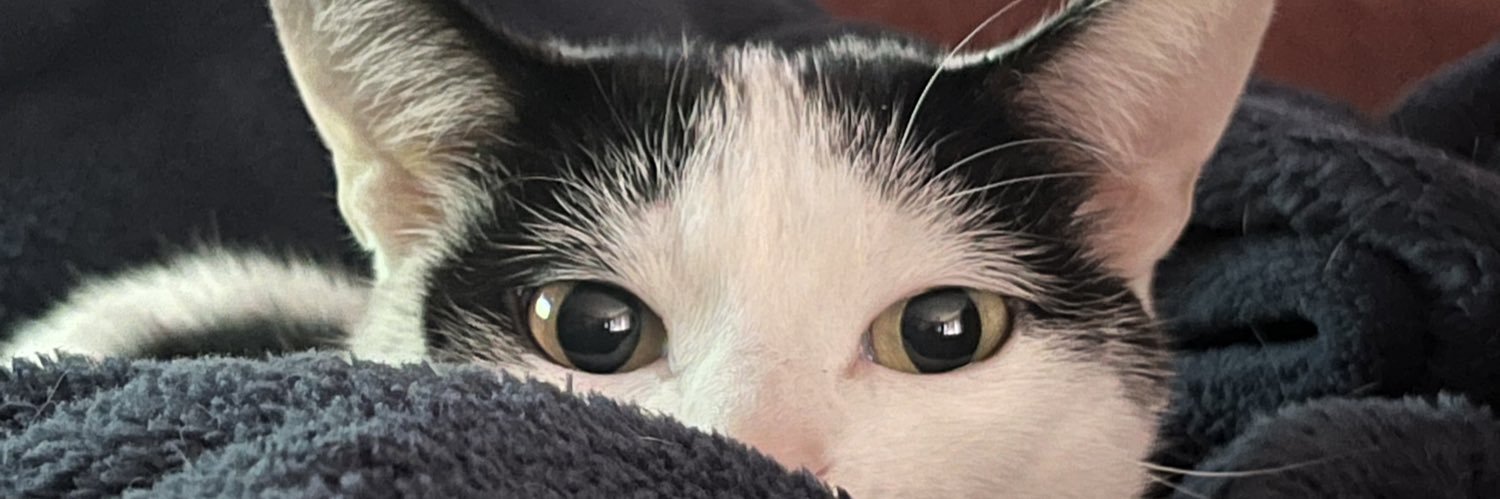 mitchfaceman's profile banner image