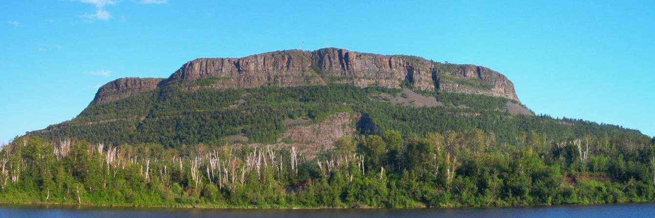 Dr. Andrew Friesen banner