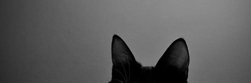 月亮 banner
