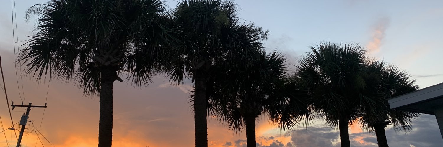 MadisenSimpson's profile banner image
