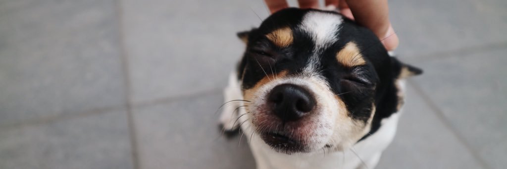 alegggo's profile banner image