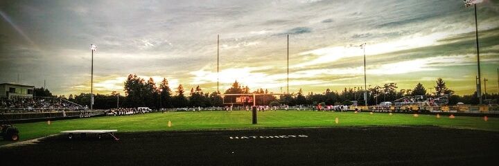 Bad Axe Hatchets banner